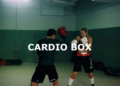 CARDIO BOX